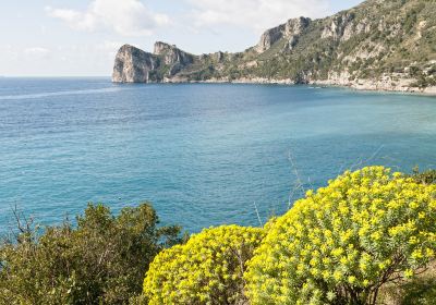 Sorrento