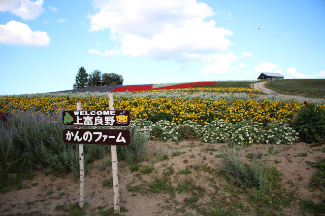 富良野　かんのファーム
