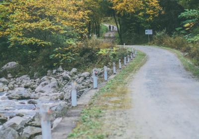 Tangjia River Nature Reserve