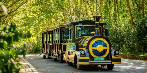 明孝陵門票成人