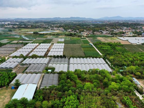 Yaweinong Ecological Park