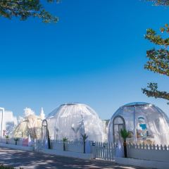 SEESEA Again User Photo