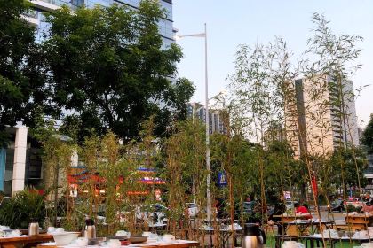 Housestreet Mixed Fish