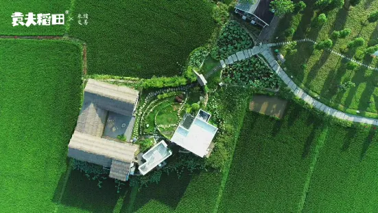 Huangmei Kangfu Paddy Farm