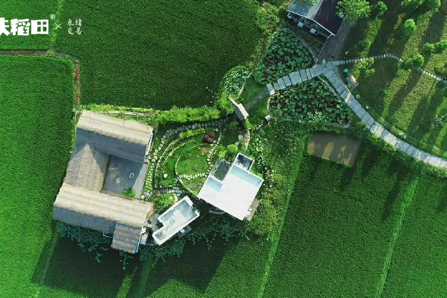 Huangmei Kangfu Paddy Farm