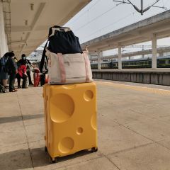 Zhong Dumplings User Photo