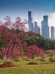 石門森林公園