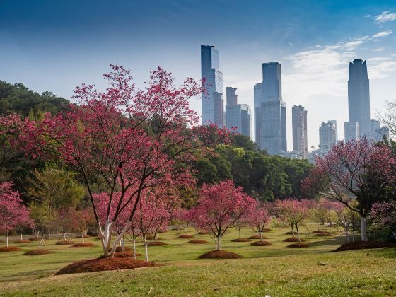 Shimen Forest Park