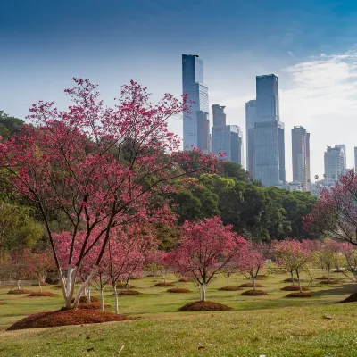 Shangri-La Nanning