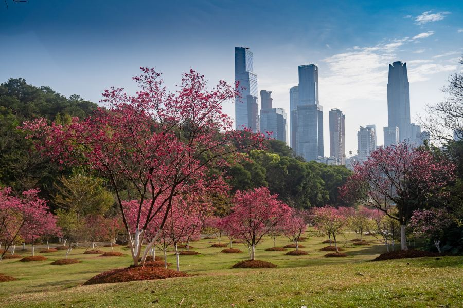 石門森林公園