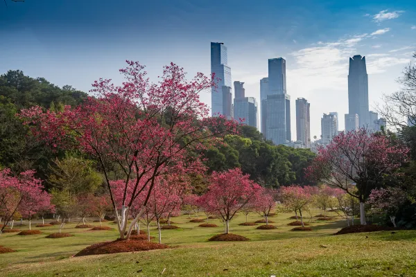 Shangri-La Nanning