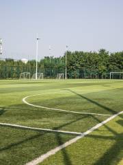 Zhiyun Football Field, Sports Park, Zhongguancun Software Park