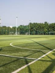 Zhongguancun ซอฟต์แวร์สวนสนามกีฬาจื้อหยุนสนามฟุตบอล