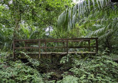 Parque Nacional Soberanía