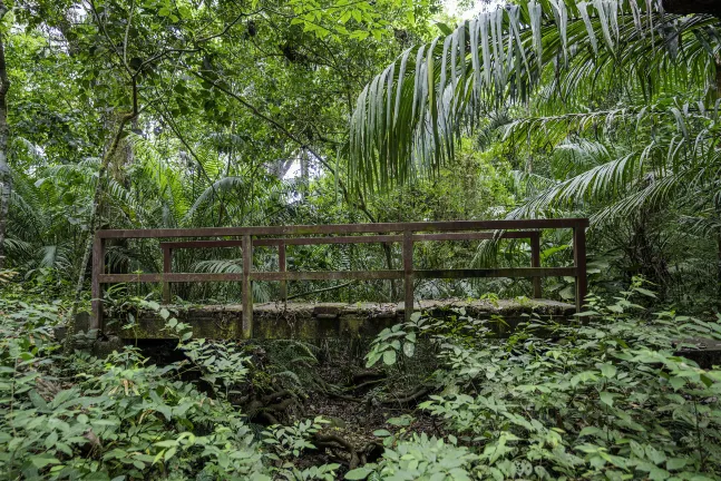 4-Star-Hotels in Gamboa