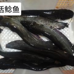 宪佳鱼馆 User Photo