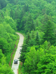 Hegang Forest of Lesser Khingan Range