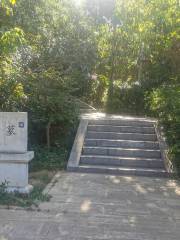 Mifu Tomb