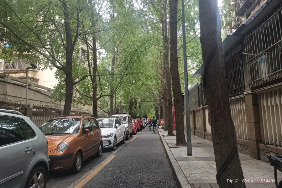 Jinxiu Alley