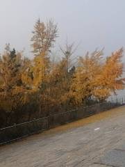 Wangwu Reservoir