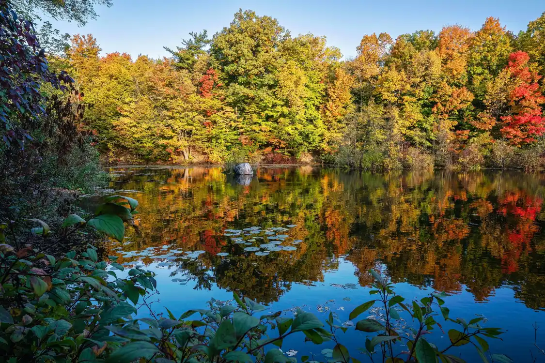 Hotels near Mill Pond Park