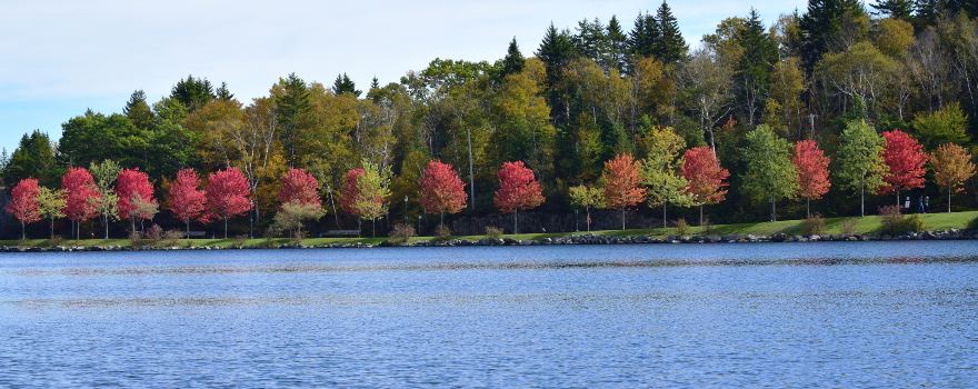 Rockwood Park