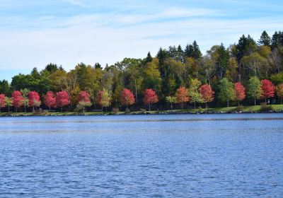 Rockwood Park