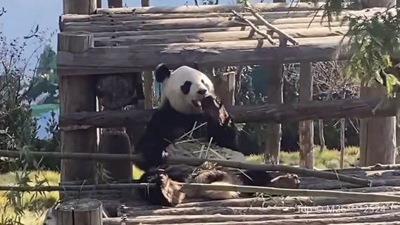 Природный Заповедник Чунг-Сюйшань