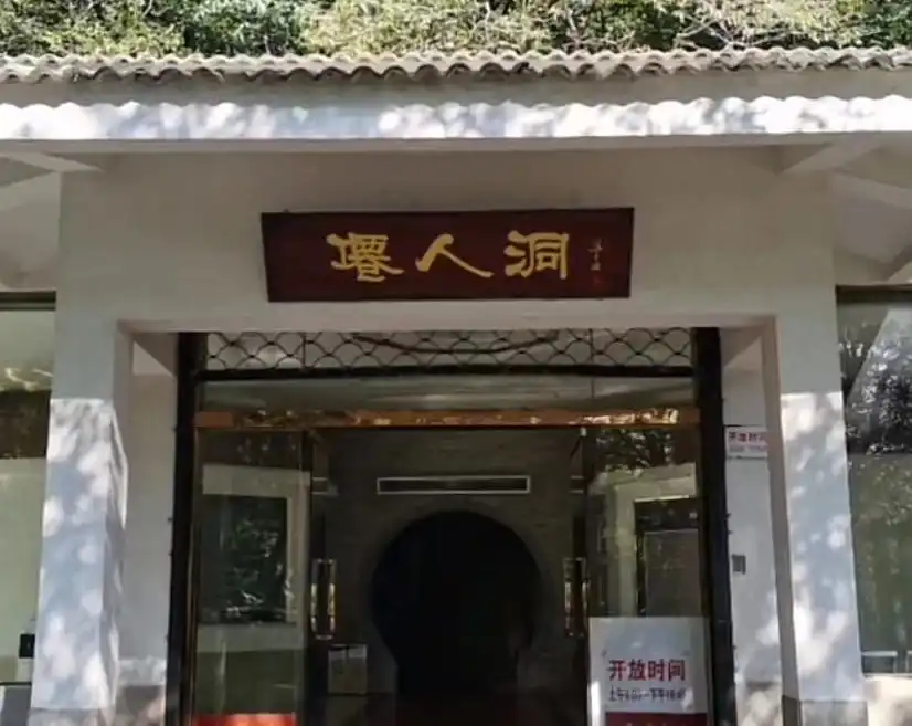 선인동 주변 호텔