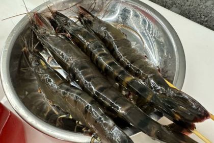 朱富贵火锅(宝信店)