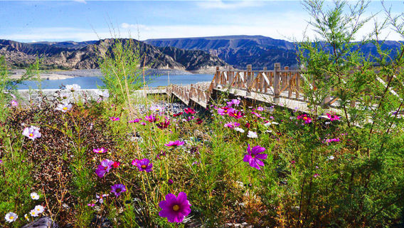 Longyang Lake Scenic Area