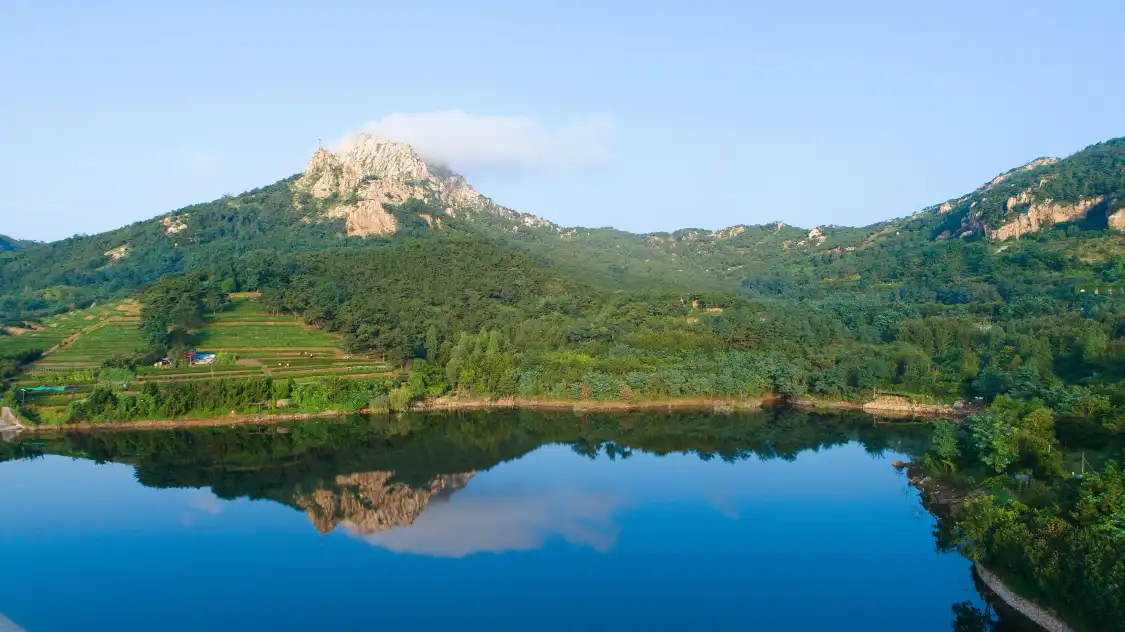 부산 삼림 공원 주변 호텔