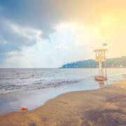 自然及野生動物