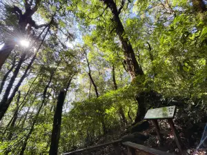 Kew Mae Pan nature trail