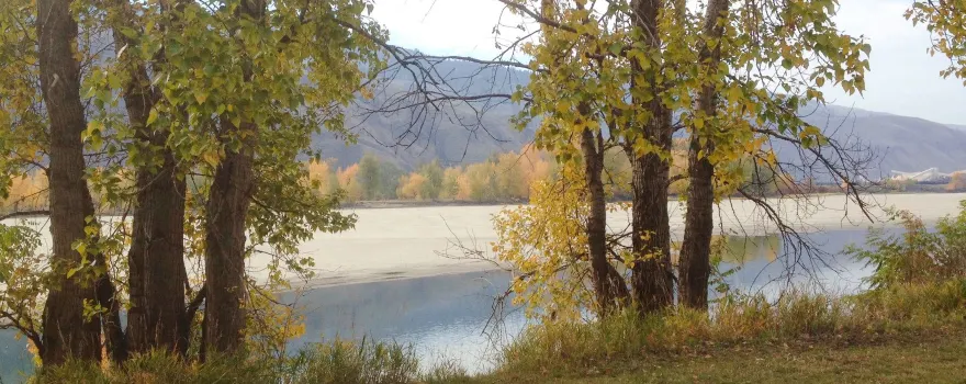 McArthur Island Park