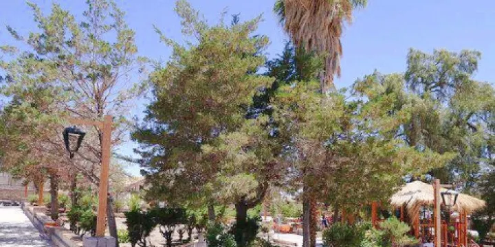 渥倫泰德州立公園