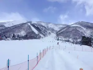 Hirayu Onsen 平湯溫泉滑雪場