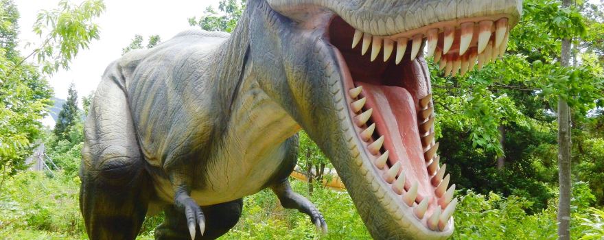 Katsuyama Dinosaur Forest Nagaoyama Park