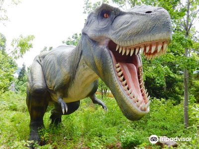 Katsuyama Dinosaur Forest Nagaoyama Park