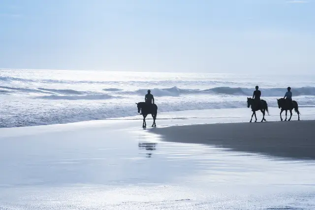 Horse Riding in Bali