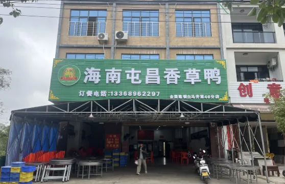 海南屯昌香草鴨