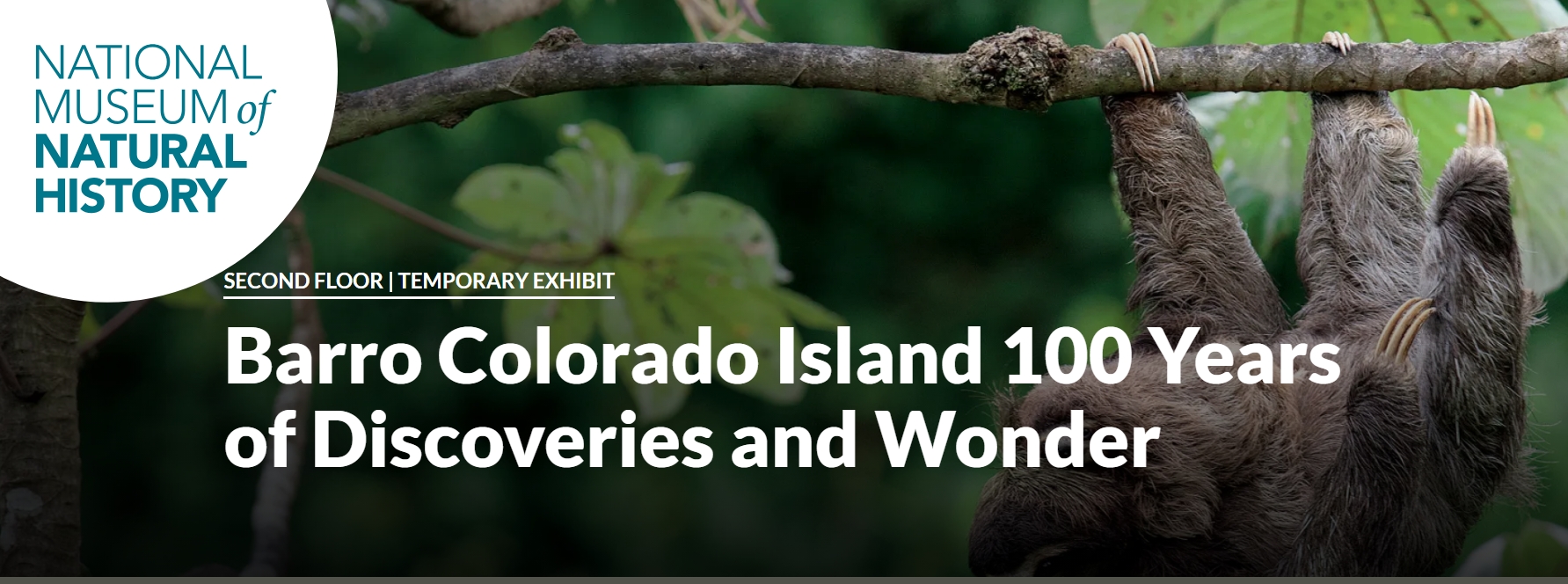 Barro Colorado Island 100 Years of Discoveries and Wonder | Smithsonian National Museum of Natural History