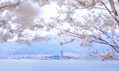 ภูเขาดอกไม้