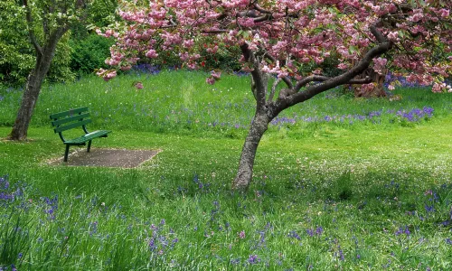 Parco di Beacon Hill