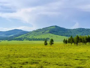 Zhalantun Scenic Area