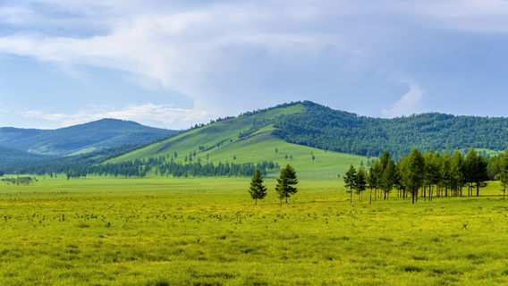 Zhalantun Scenic Area