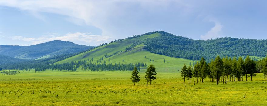 Zhalantun Scenic Area