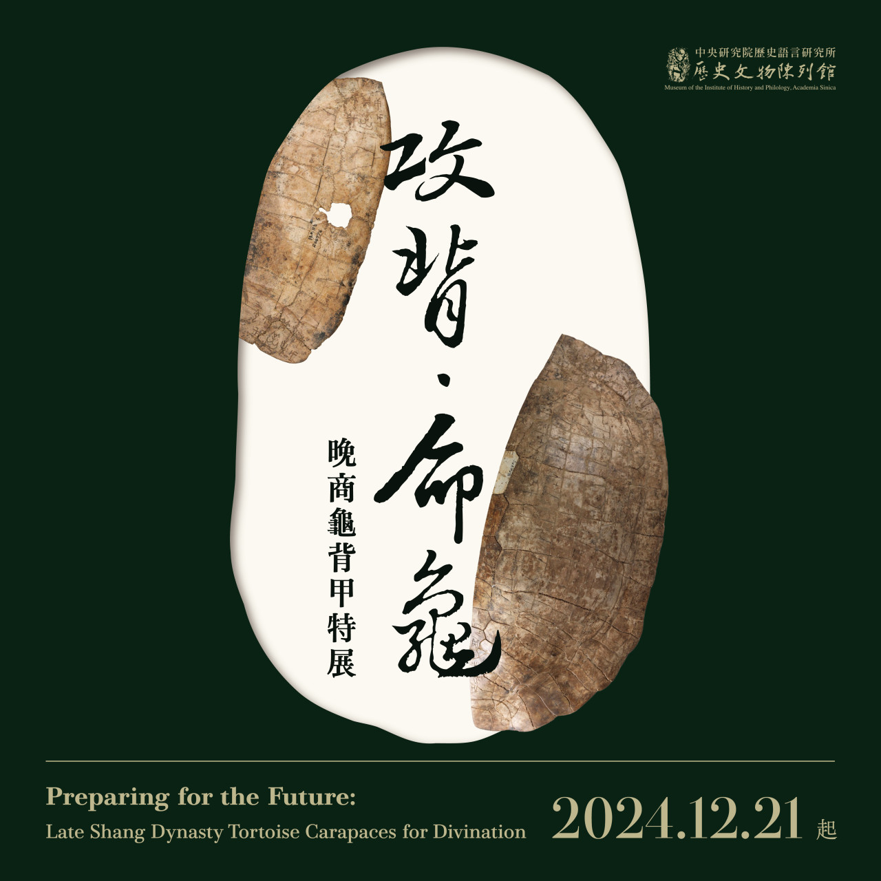 《攻背 · 命龜》晚商龜背甲特展 | 台北