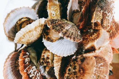 抹直口特色菜馆(一店)