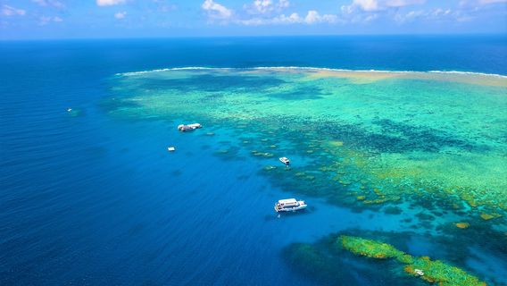 Cairns